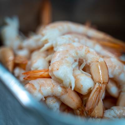 Porto Vecchio - Pesce Fresco